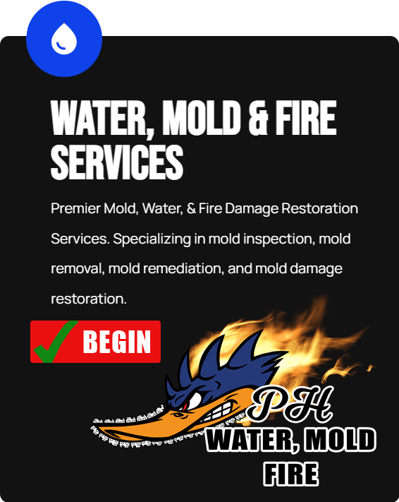 PH Emergency Services Program